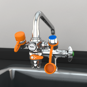 EyeSafe™ Faucet-Mounted Eyewash with Faucet Control Valve, Arca Timur