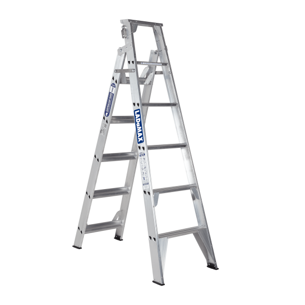 DUAL PURPOSE LADDER-2