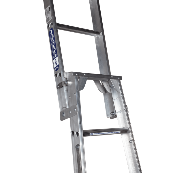 DUAL PURPOSE LADDER