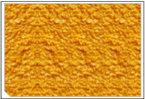 Staircare SC-R ANTI-SLIP Plates